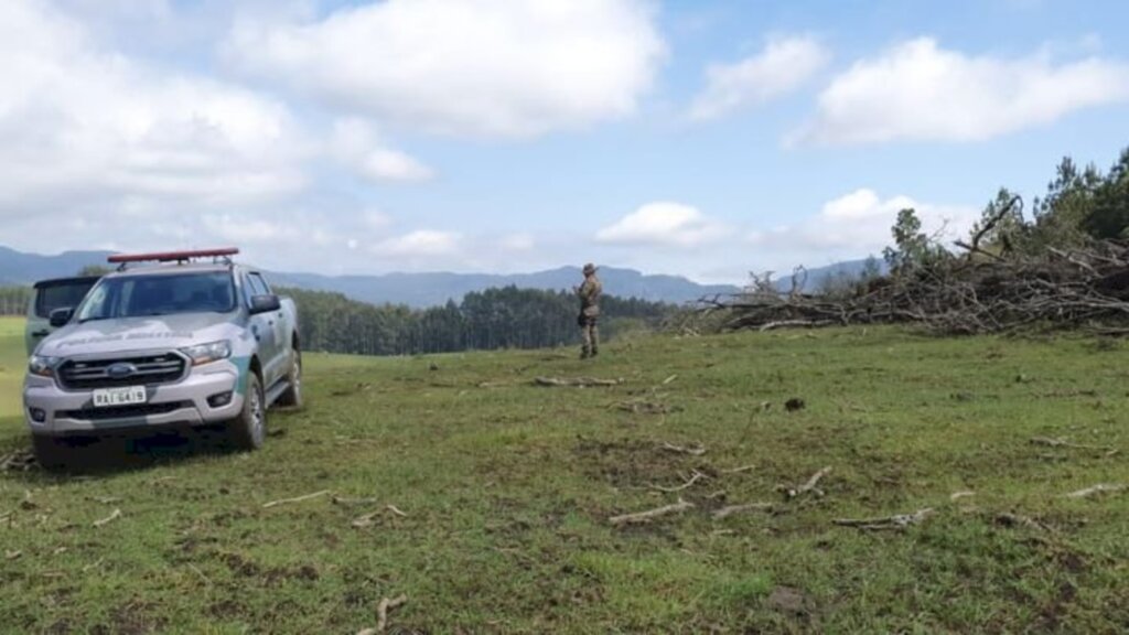 Polícia Militar Ambiental flagra 877 hectares de áreas irregulares