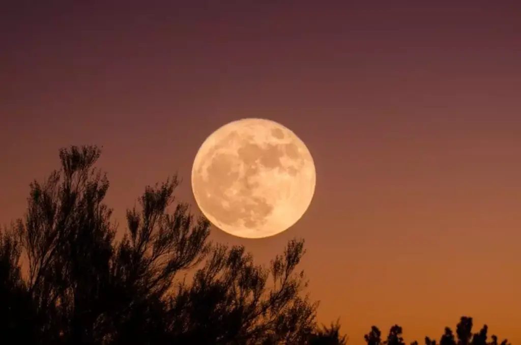 Nasa fará nova tentativa de lançar megafoguete à Lua em 14 de novembro