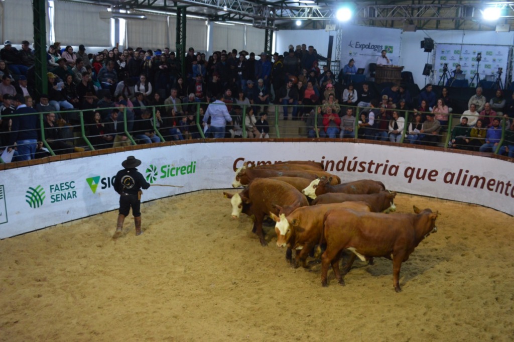 Sucesso da Expolages 2022 permitirá um evento ampliado no próximo ano