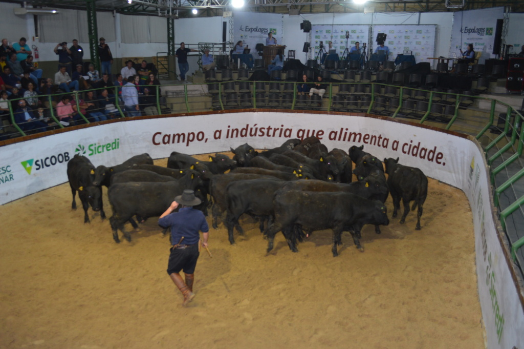 Paulo Chagas/Sindicato Rural - 