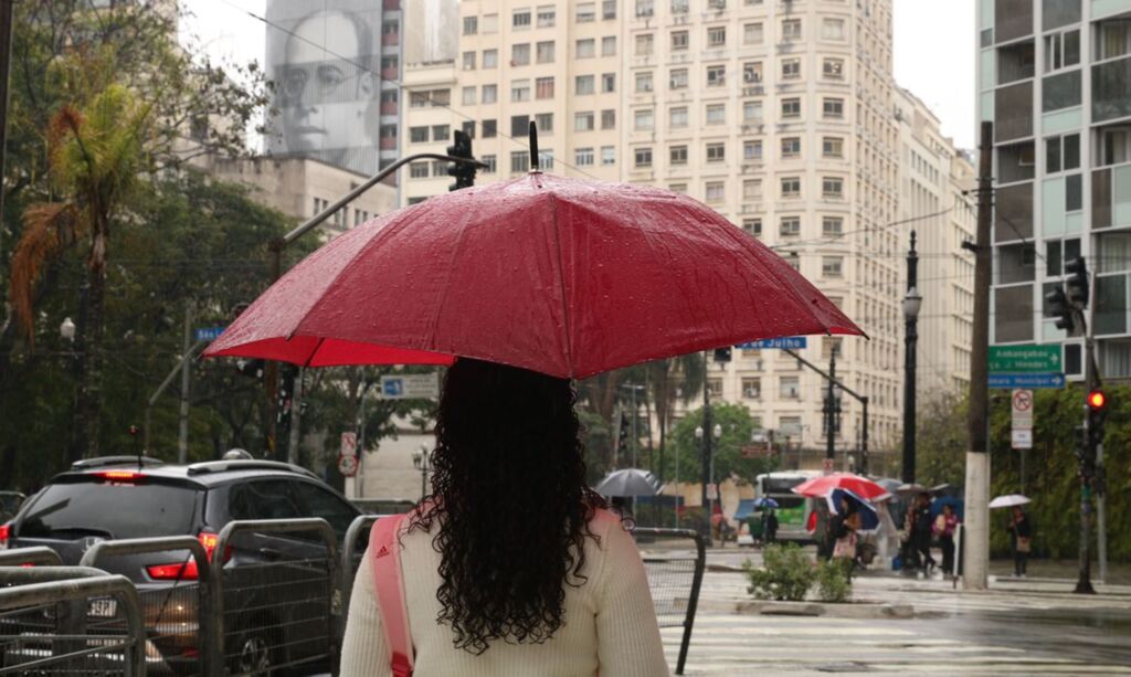 Rovena Rosa - Agência Brasil - Segundo o Inmet estados do Sul e parte do Centro-Oeste terão chuva forte e rajadas de vento