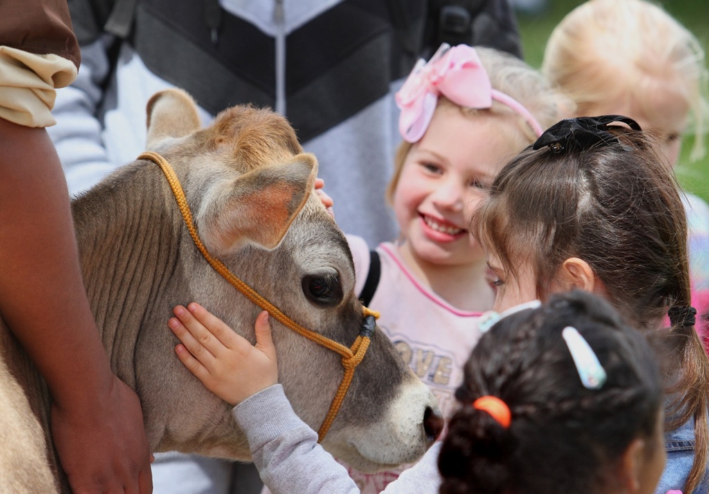 Vida no campo e produção leiteira estrelam projeto infantil