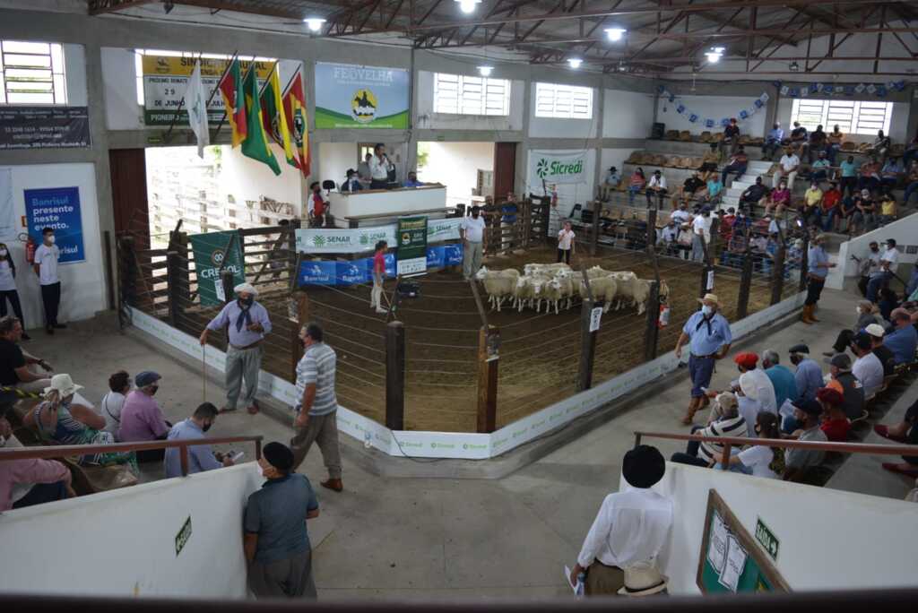 Sindicato de Pinheiro Machado define a programação da 39ª Feovelha