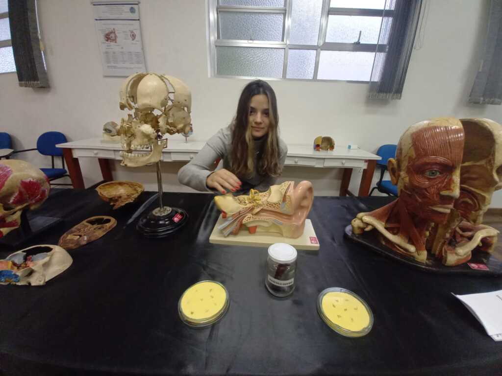 Divulgação - 