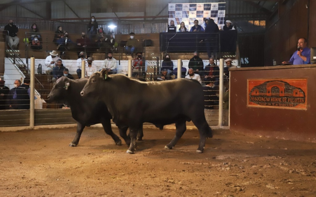 Irga entrega Selo Ambiental para produtores da região na 96ª Expofeira