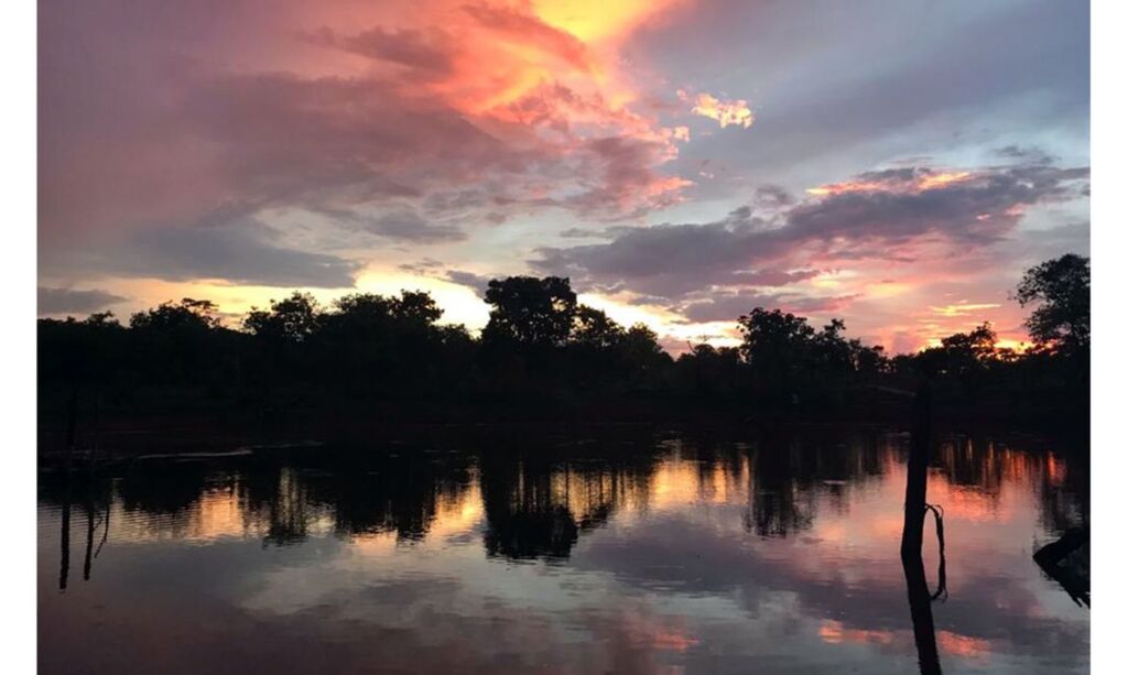 Bioma Cerrado, berço das águas, é celebrado neste domingo