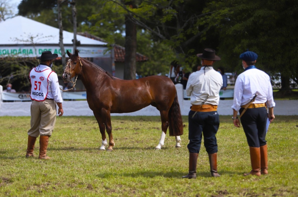 96ª Expofeira será lançada quinta-feira