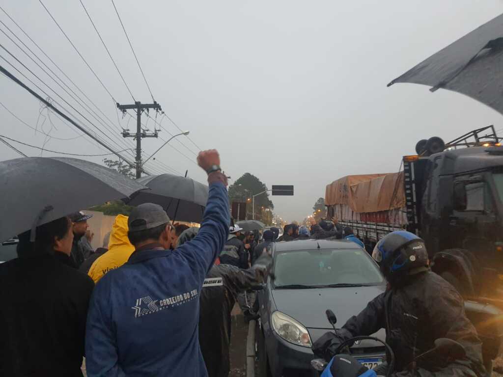 Divulgação - 