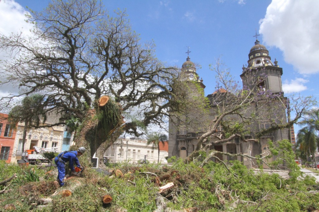 Jô Folha - 
