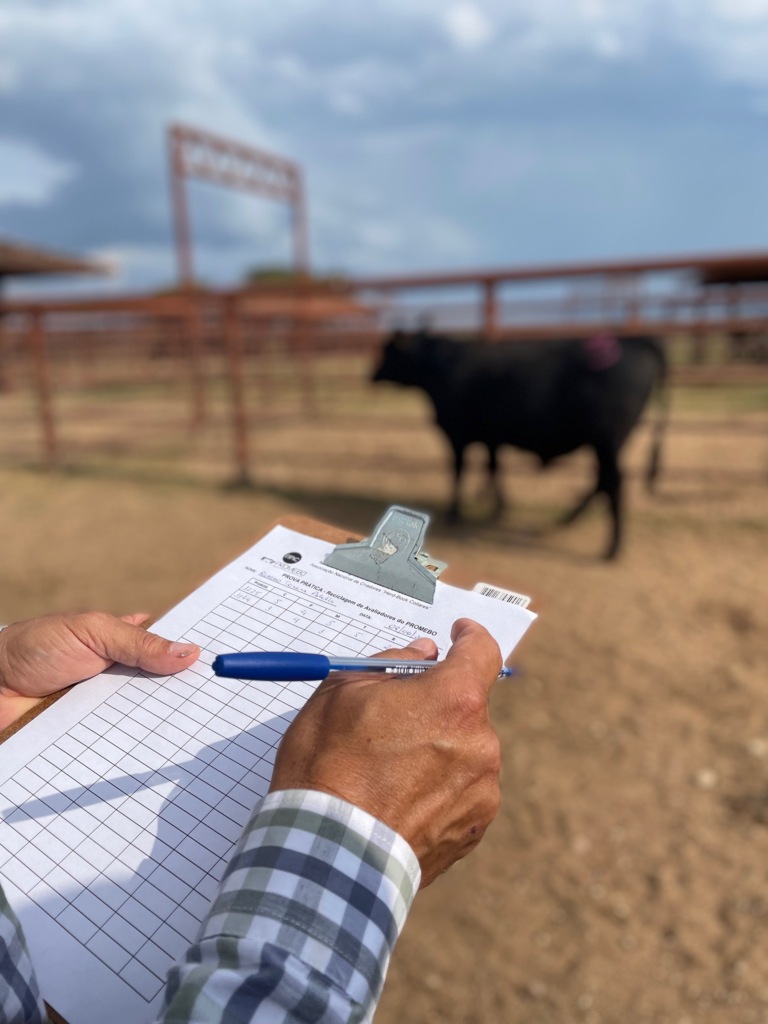 Fórum debate a campo seleção por fenótipo e genótipo