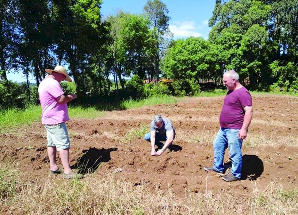Plantações de moranga são acompanhadas por técnicos no município