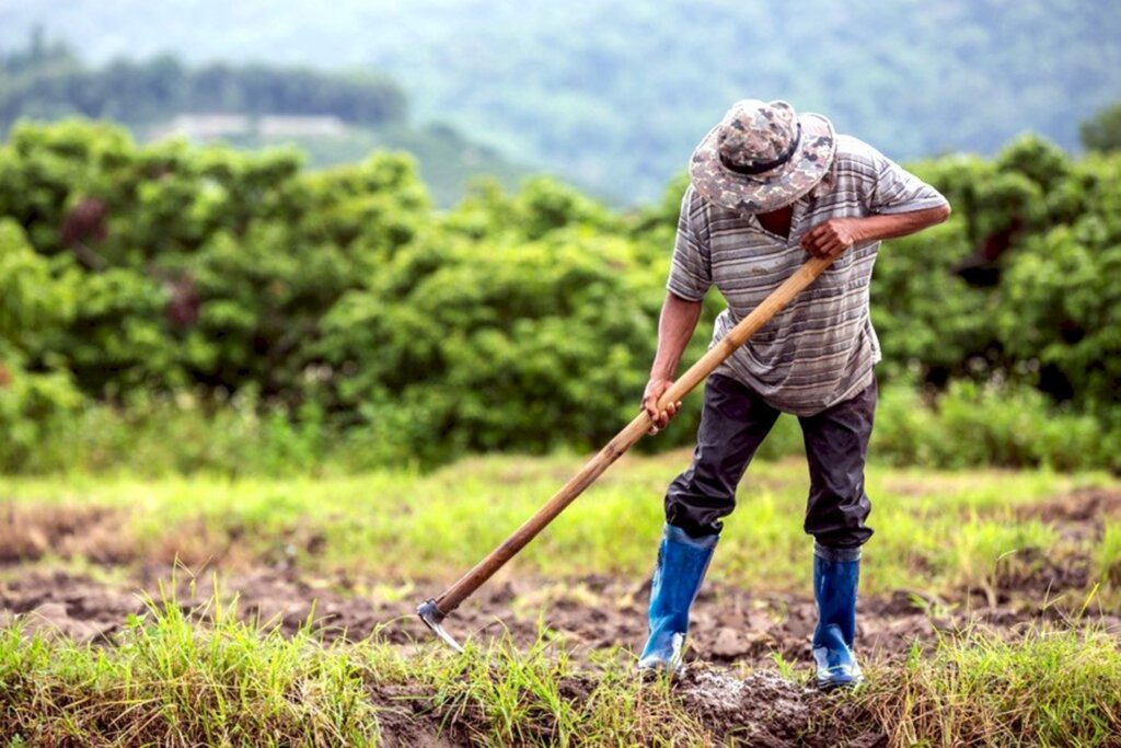 Congresso derruba vetos de projeto que concede ajuda a agricultores