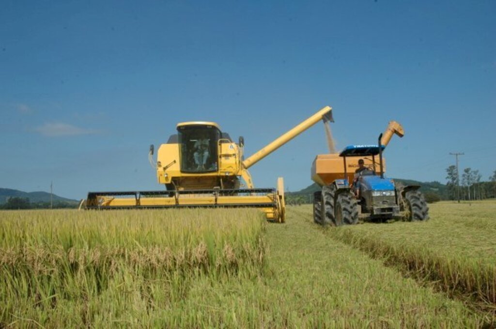 Santa Catarina dá início a colheita do arroz