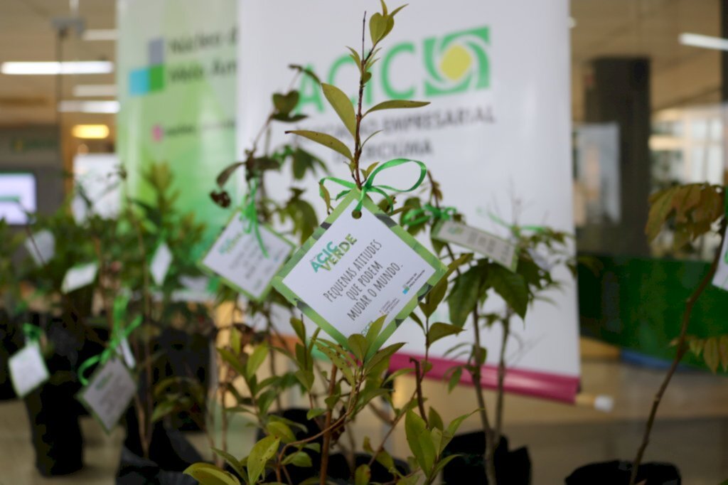 Acic e Núcleo do Meio Ambiente distribuem mudas de plantas em reforço à Semana do Meio Ambiente