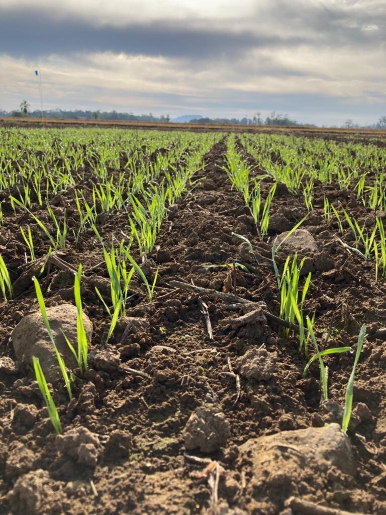 Cooperja prepara 1ª Edição de Inverno do Campo Agroacelerador