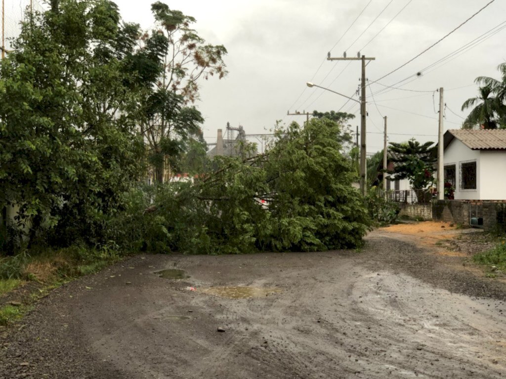 Destelhamentos, quedas de árvores e galpão são registrados em Jacinto Machado