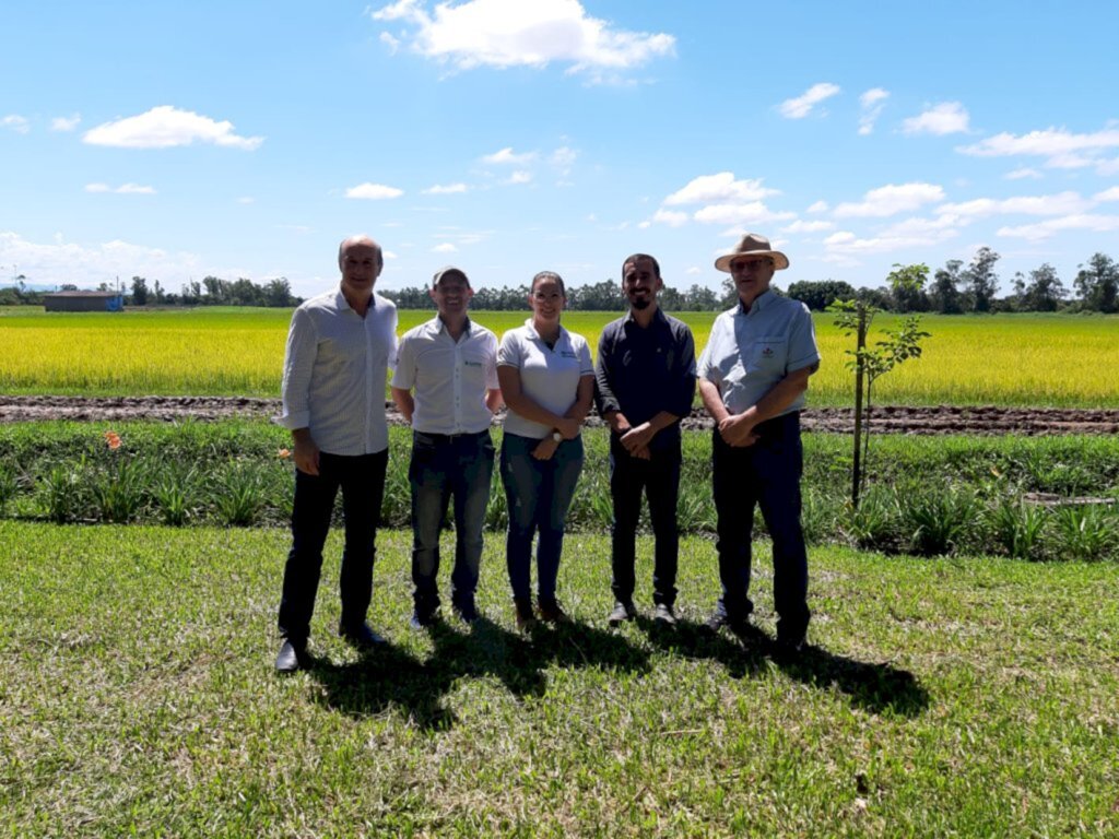 Vereador Rogério Dagostin participa de Dia de Campo Arroz Epagri