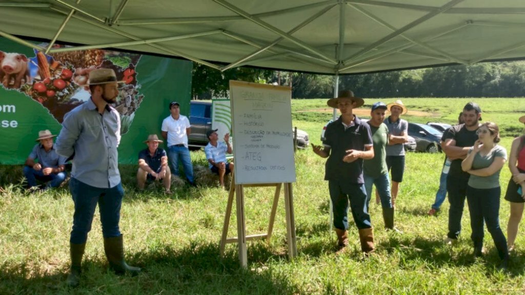 Dia de Campo reúne produtores de gado de corte em Serra Alta