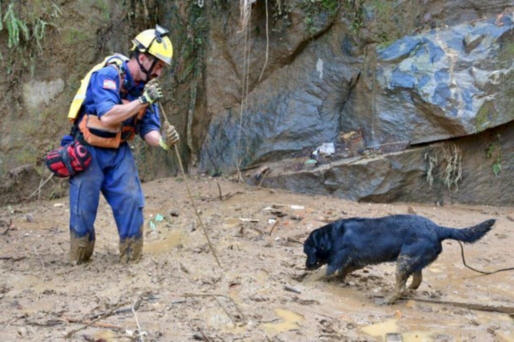 Equipe do CBMSC localiza 10 vítimas entre os escombros em Petrópolis