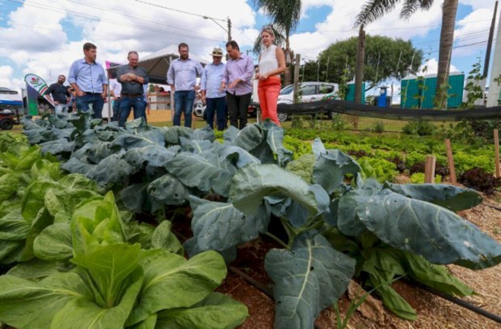 Governador participa do 26º Show Tecnológico Copercampos e assina convênio para implantação da Central de Reprodução Bovina