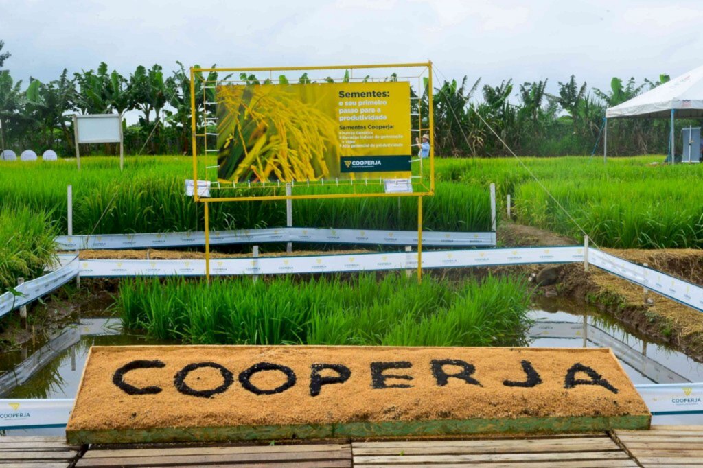 Vitrines Tecnológicas, fórum, dinâmicas, culinária, exposições e muitas novidades no 18º Campo Agroacelerador da Cooperja