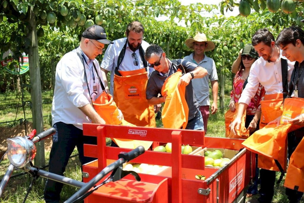 Cooperja participa da IV abertura da colheita do maracujá na propriedade de associado