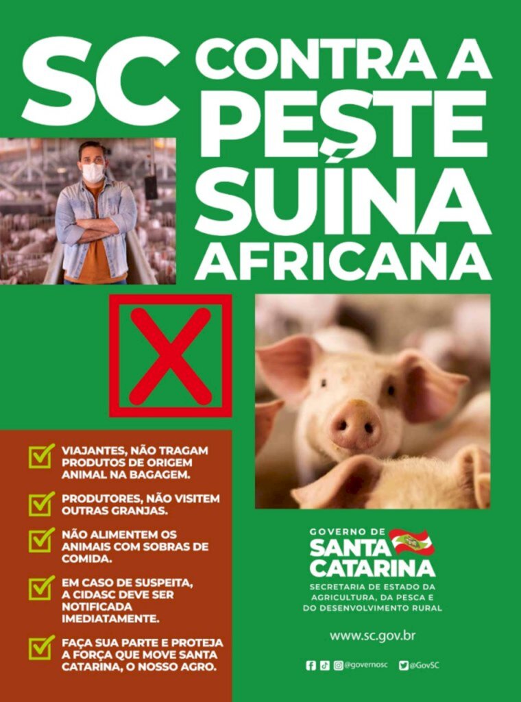 Santa Catarina lança campanha de prevenção contra a peste suína africana