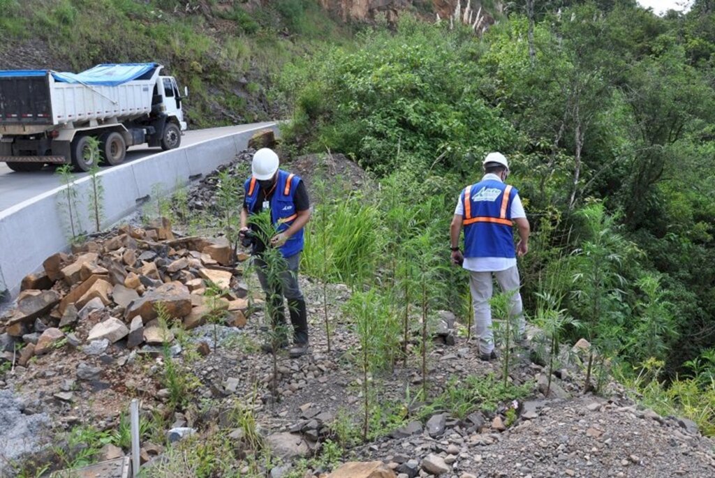 Conservação do solo: DNIT recupera áreas utilizadas nas obras da BR-285/RS/SC