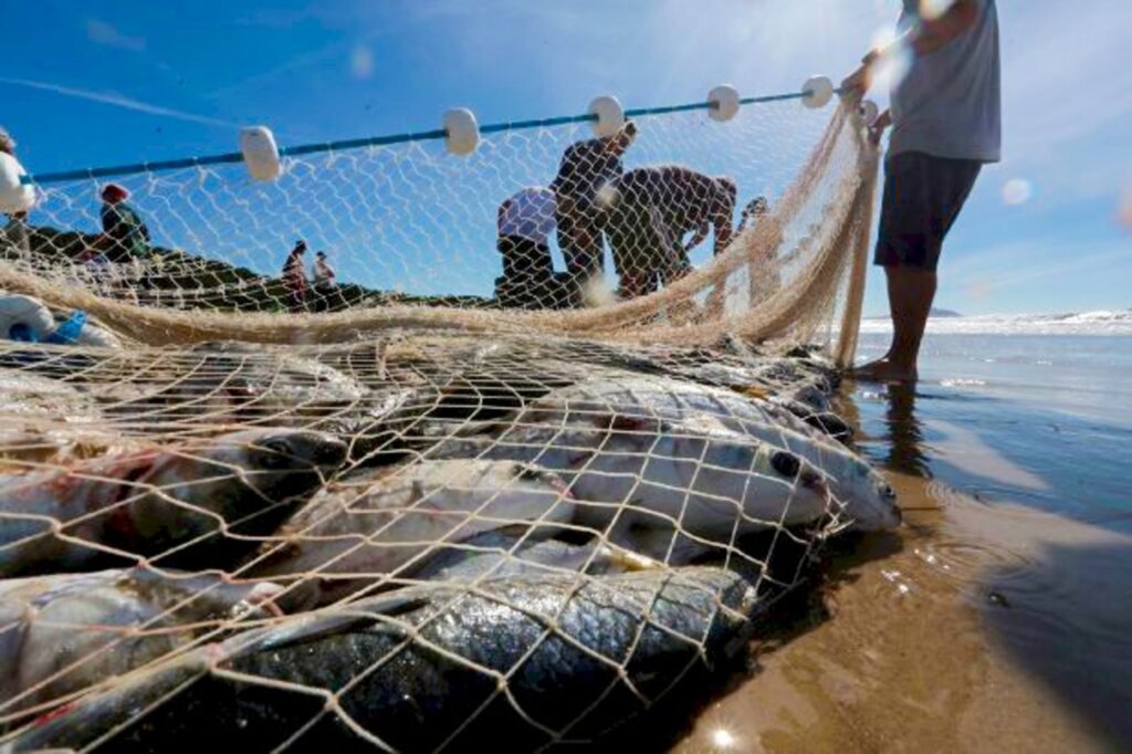 Pescadores e maricultores atingidos por fenômenos climáticos extremos recebem apoio do Governo do Estado