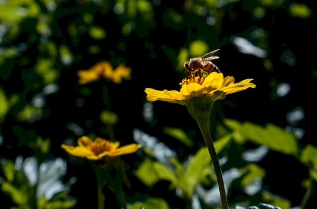 Com influência do fenômeno La Niña, previsão é de primavera com chuvas irregulares em SC