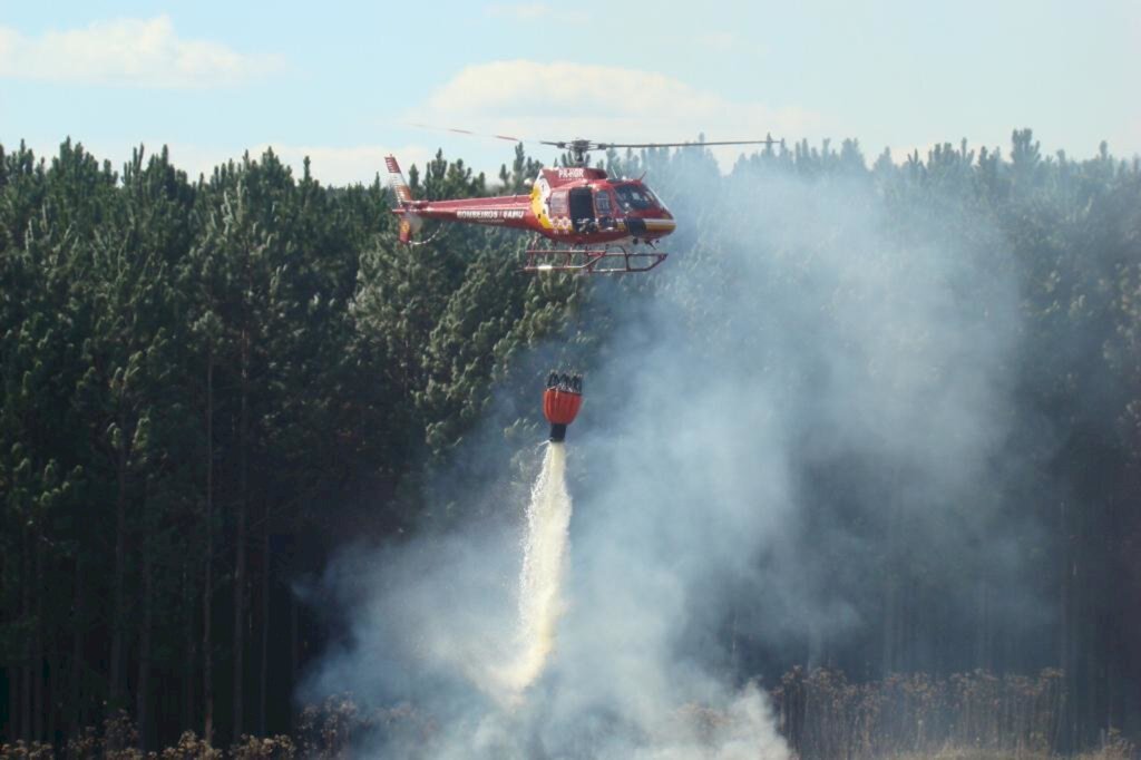 Em maio, Santa Catarina registra maior número de incêndios florestais em quatro anos