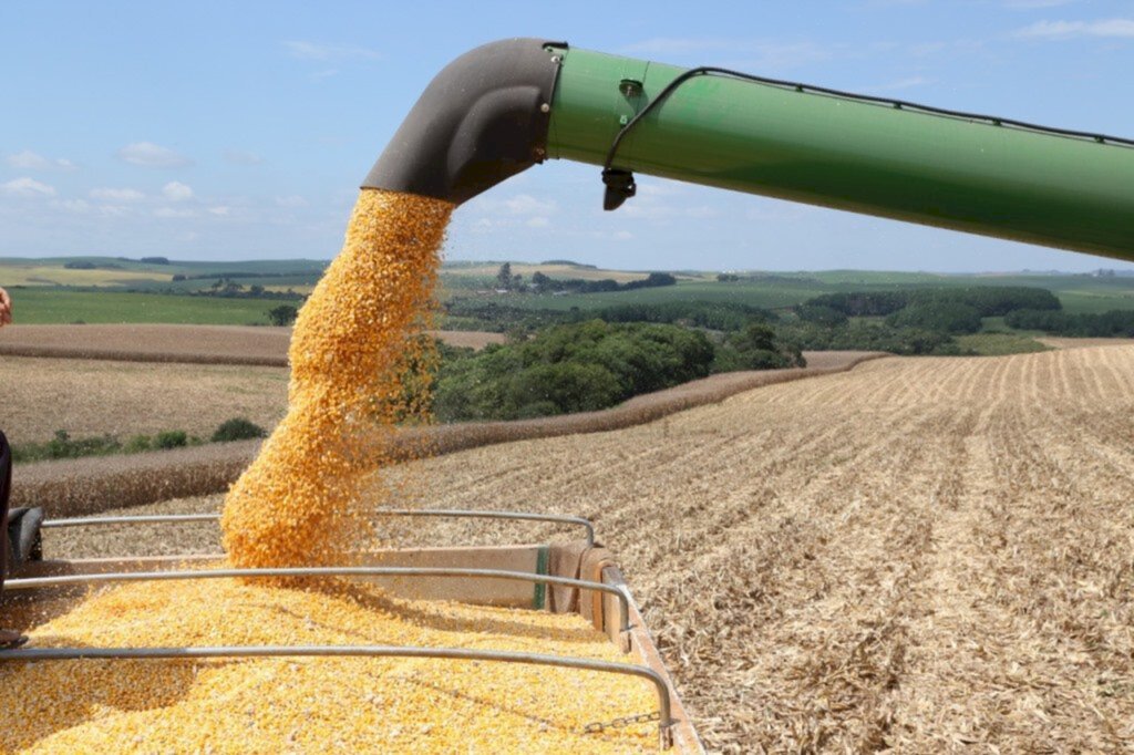 Estiagem afeta produção de milho e soja em Santa Catarina