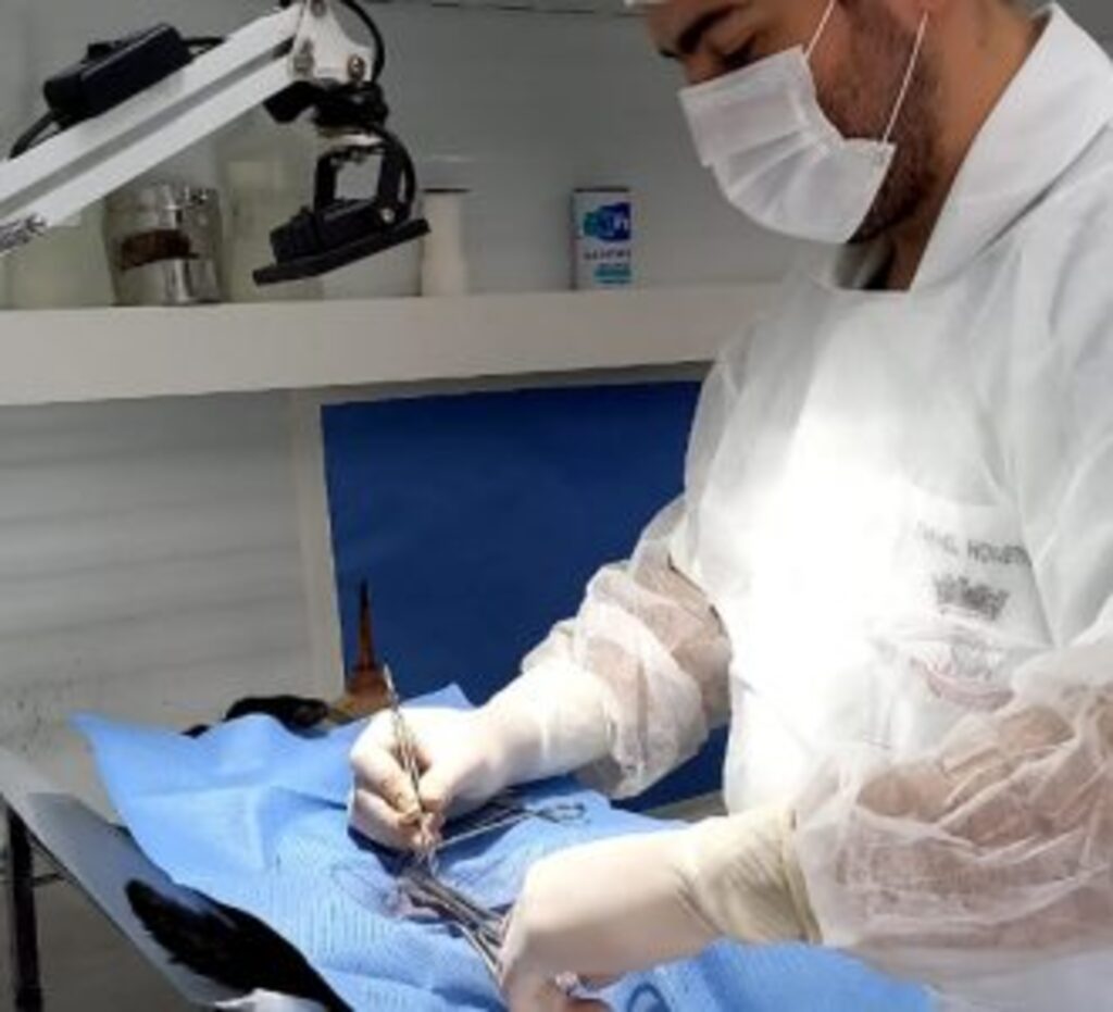 Foto: Divulgação - DP - Esterilização do animal será aplicada apenas para residentes da cidade