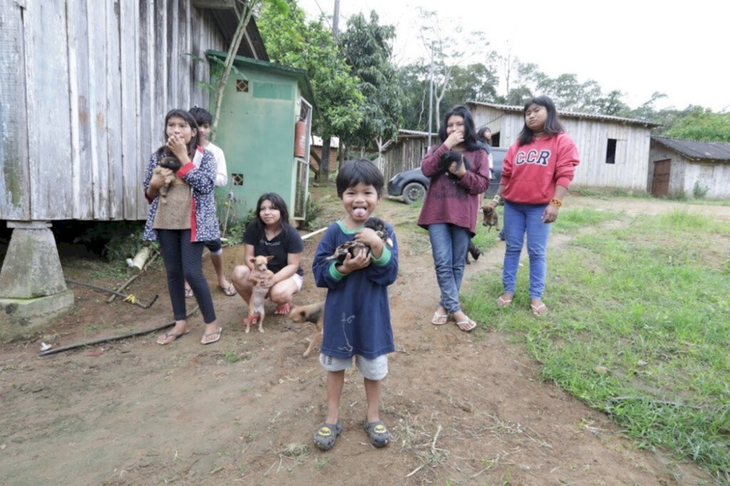 SFS: Bem estar animal realiza vacinação em animais na aldeia indígena