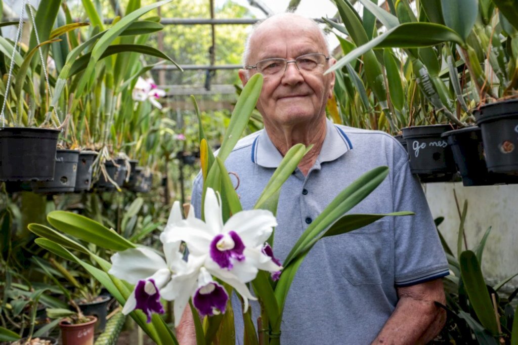 Orquidófilo joinvilense de 90 anos é estrela da campanha da 82ª Festa das Flores