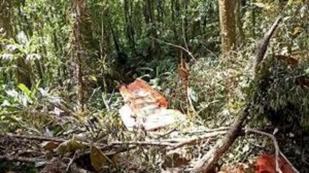 Encontrados destroços do avião da FAB que desapareceu na Grande Florianópolis