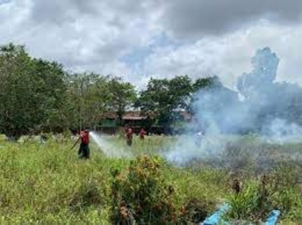 Família solta fogos em enterro de parente e causa incêndio em cemitério no Pará