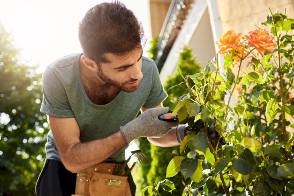 Concurso de Jardins de Joinville traz dicas para harmonizar plantas, cores e formas