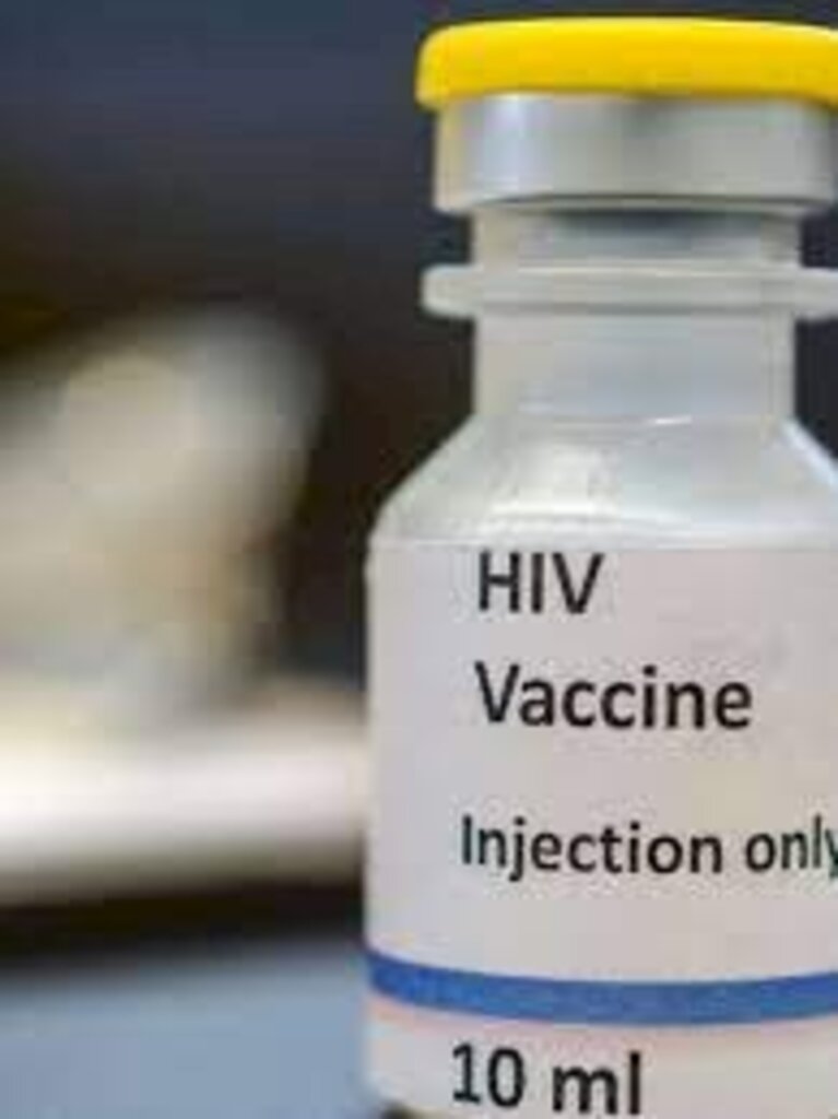 Vacina contra o HIV é eficaz em testes com macacos