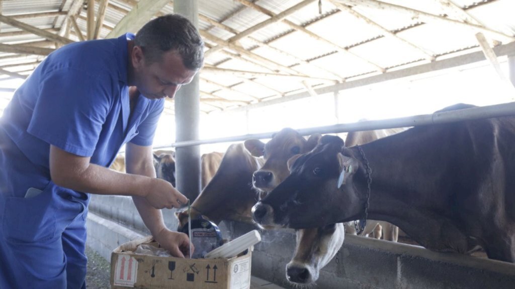 Prefeitura de Joinville realiza cursos gratuitos para produtores rurais em setembro