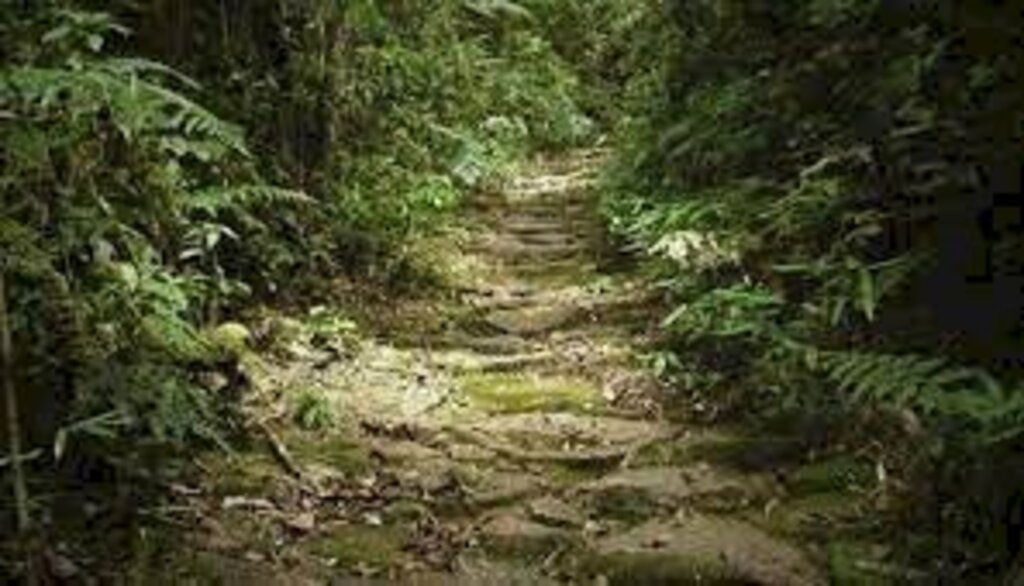 Pesquisadores defendem integração turística Caminhos de Peabiru