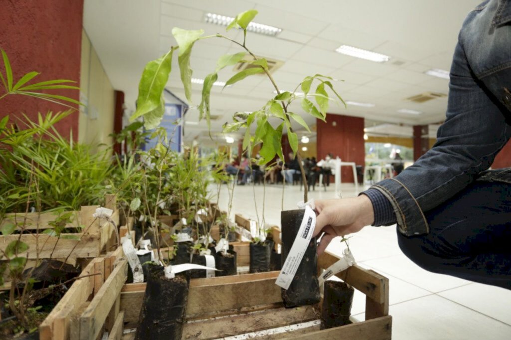 Ações para o desenvolvimento sustentável de Joinville marcaram programação do 'Junho Verde'