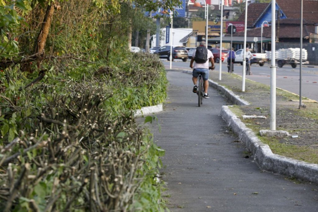 Cerca viva da avenida Beira Rio recebe poda