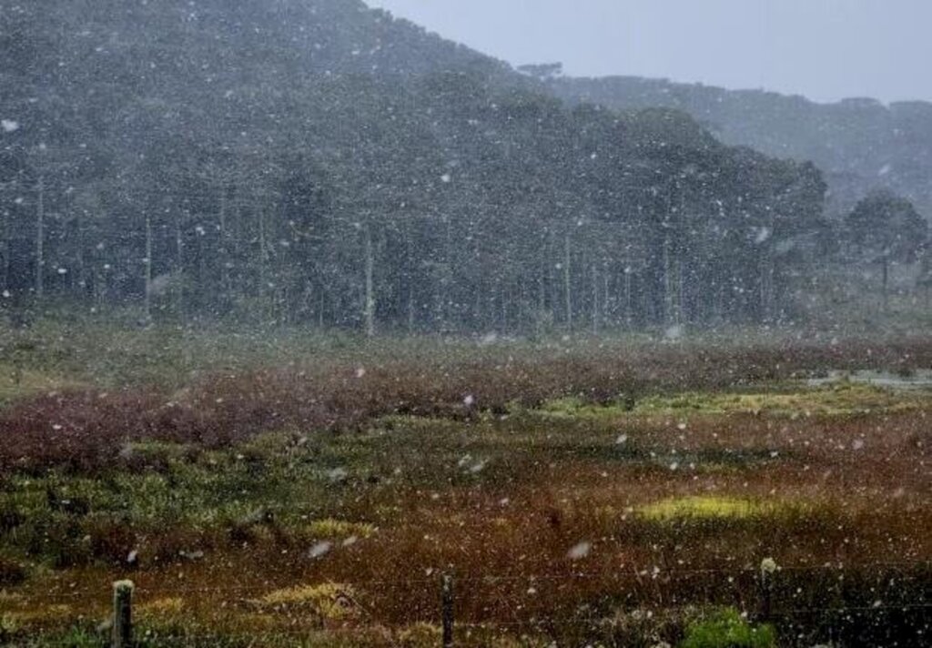 Primeiros registros de neve de 2022 em São Joaquim