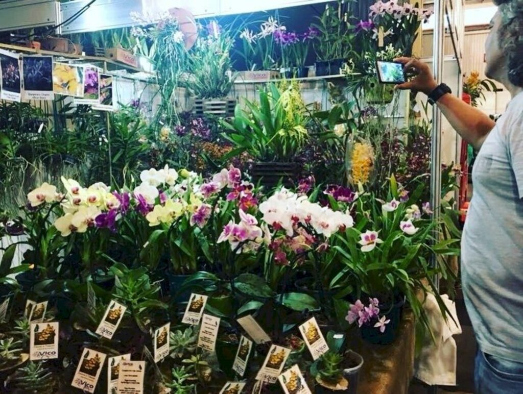 Dois anos depois a Festa das Flores está de volta