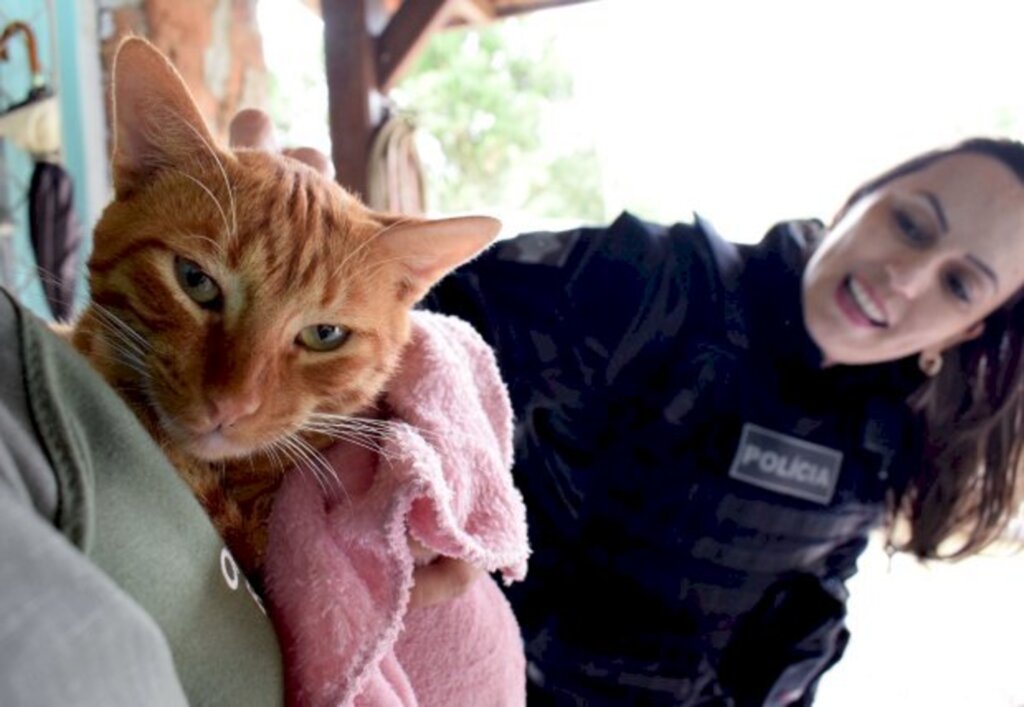 Presídio Regional de Tijucas entrega mantas para protetores de animais