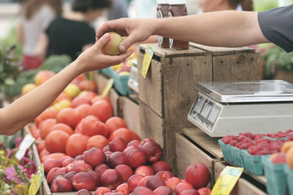 Produtores rurais de Joinville terão mais dois pontos para comercialização de mercadorias