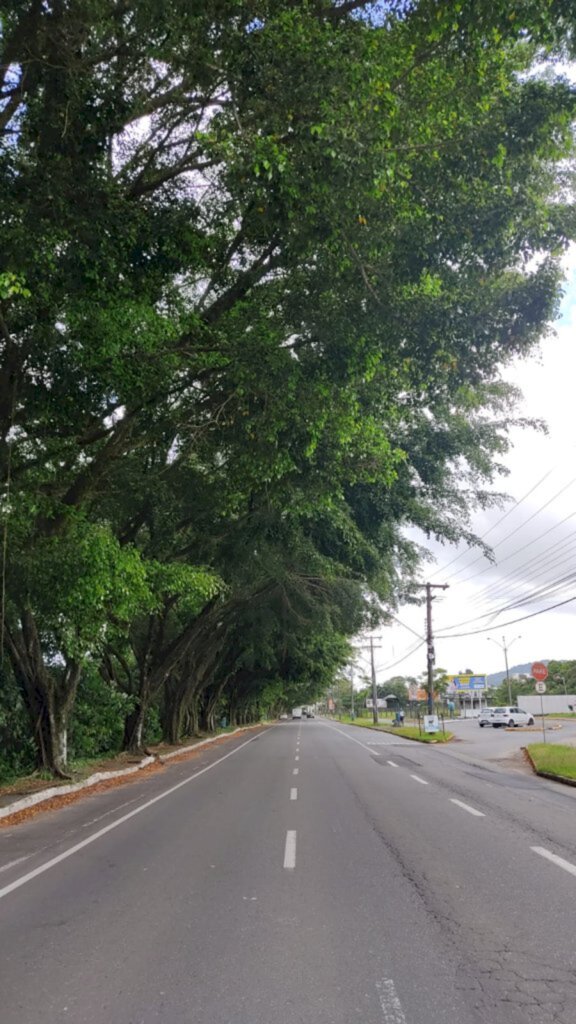 Joinville terá festival de cervejas, música e gastronomia na Rua do Lazer