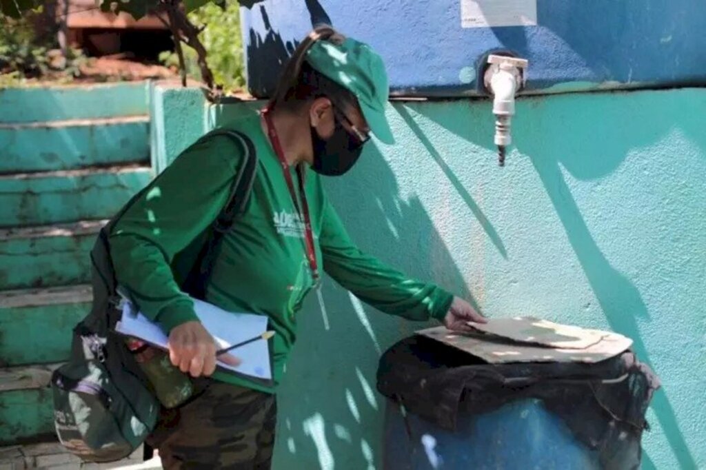 Aumento de casos de dengue em Santa Catarina preocupa órgãos de saúde