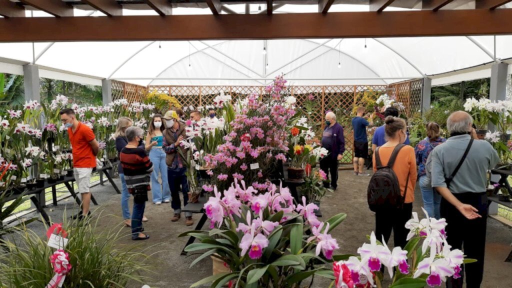 Edson Miranda - Festival de Orquídeas e Flores, última exposição na sede da Ajao, em novembro de 2021